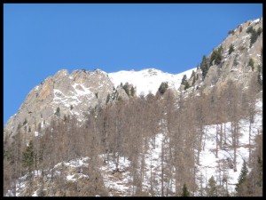 P1020313